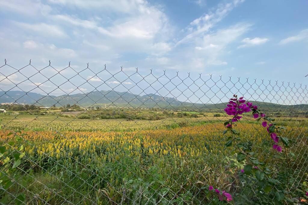 Kali-Mali Casa De Campo Eco-Friendly Malinalco Βίλα Εξωτερικό φωτογραφία